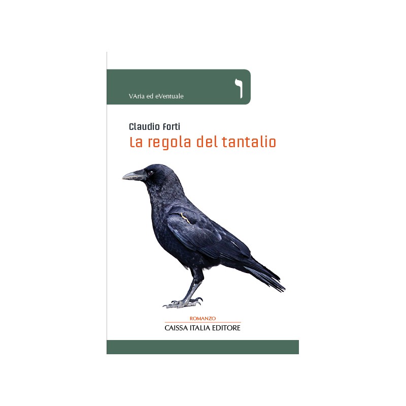"LA REGOLA DEL TANTALIO" - Un romanzo di Claudio Forti di Sal Giampino